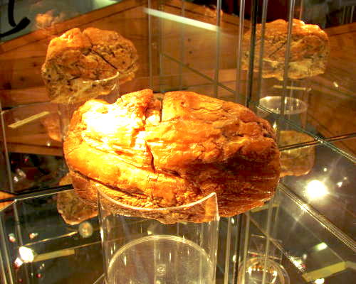 Bernsteinmuseum Sellin Insel Rügen ️